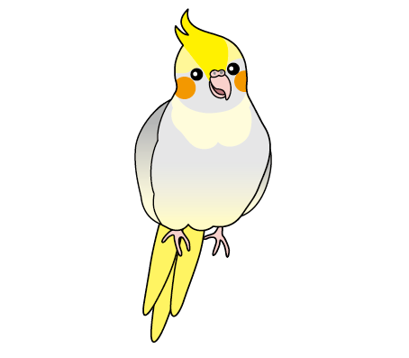 ココロちゃん