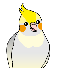 ココロちゃん